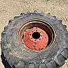 Pair of 14.9 24 tires on case 8 bolt wheels